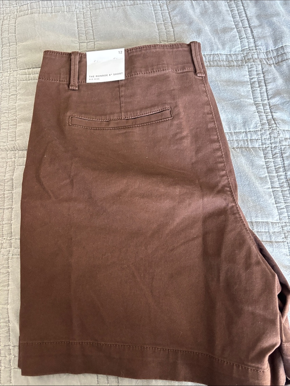 LOFT Brown Chino Shorts - Tailored Casual Style